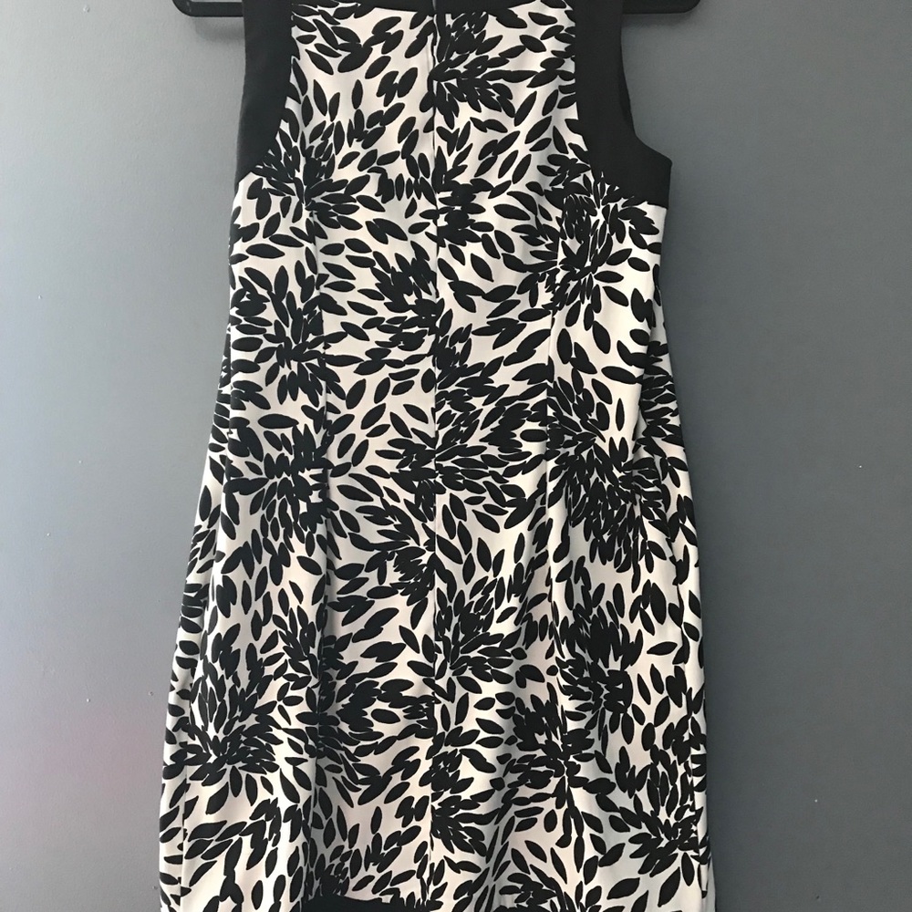 Black and White Knee Dress